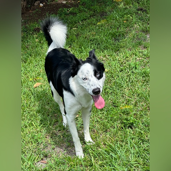 PLEASE LIKE THIS FLYER TO BE NOTIFIED-WEDNESDAY & THURSDAY @6:30 PM!๐ ๐๐๐๐๐๐๐ - Picture 9 of 17